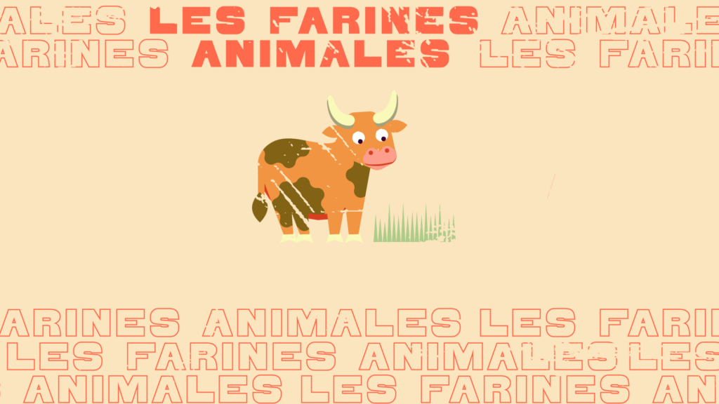 Mon Assiette mon choix, les farines animales